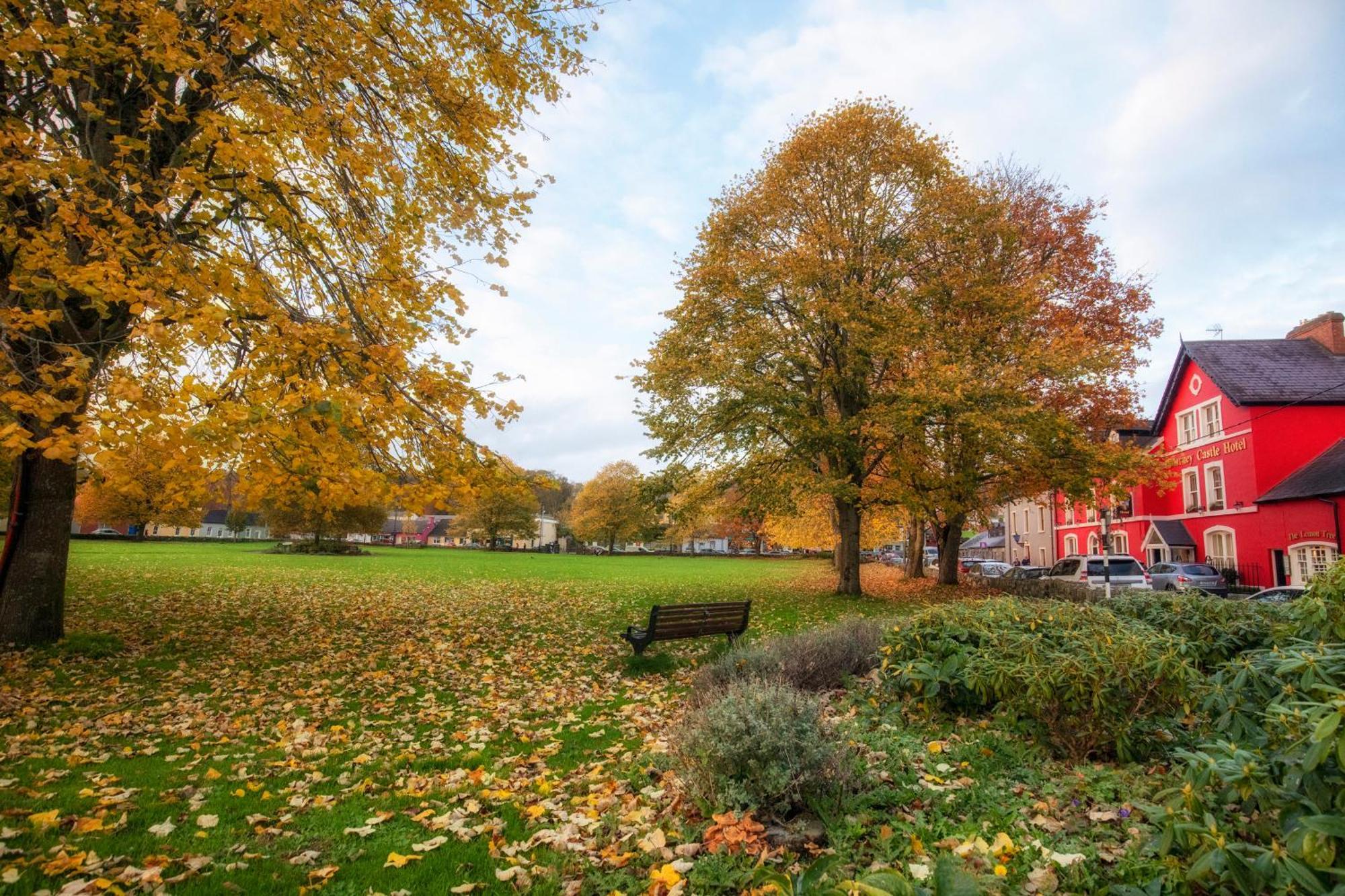 Blarney Castle Hotel 외부 사진